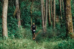 BIB: 
                            <button type="button" onclick="openModal(25237172)" class="btn btn-primary btn-sm float-right btn-popup" data-toggle="modal" data-target=".modal-high-quality">
                        <i class="fas fa-shopping-cart"></i> Add to Cart
                    </button>
                                            <button type="button" onclick="isThisMe(25237172, true)" class="btn btn-success btn-sm float-right btn-popup btn-isme hidden" data-toggle="tooltip" data-placement="bottom" title="นี่คือรูปของคุณใช่ไหม คลิกที่นี่เพื่อเอาเข้าอัลบั้ม">
                        <i class="fas fa-plus"></i> Add to album
                    </button>
                    <button type="button" onclick="isThisMe(25237172, false)" class="btn btn-warning btn-sm float-right btn-popup btn-isnotme hidden">
                        <i class="fas fa-ban"></i> Remove from album
                    </button>